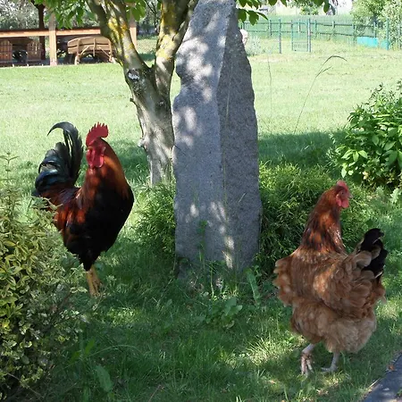 Agroturystyka Pod Podkowa * Mragowo