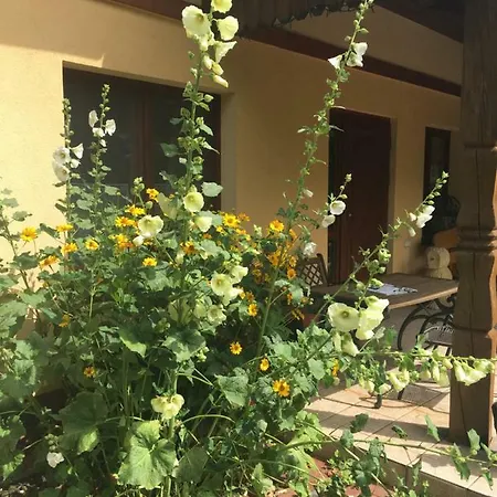 Pod Podkowa * Mrągowo